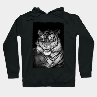 PANTHERA TIGRIS Hoodie